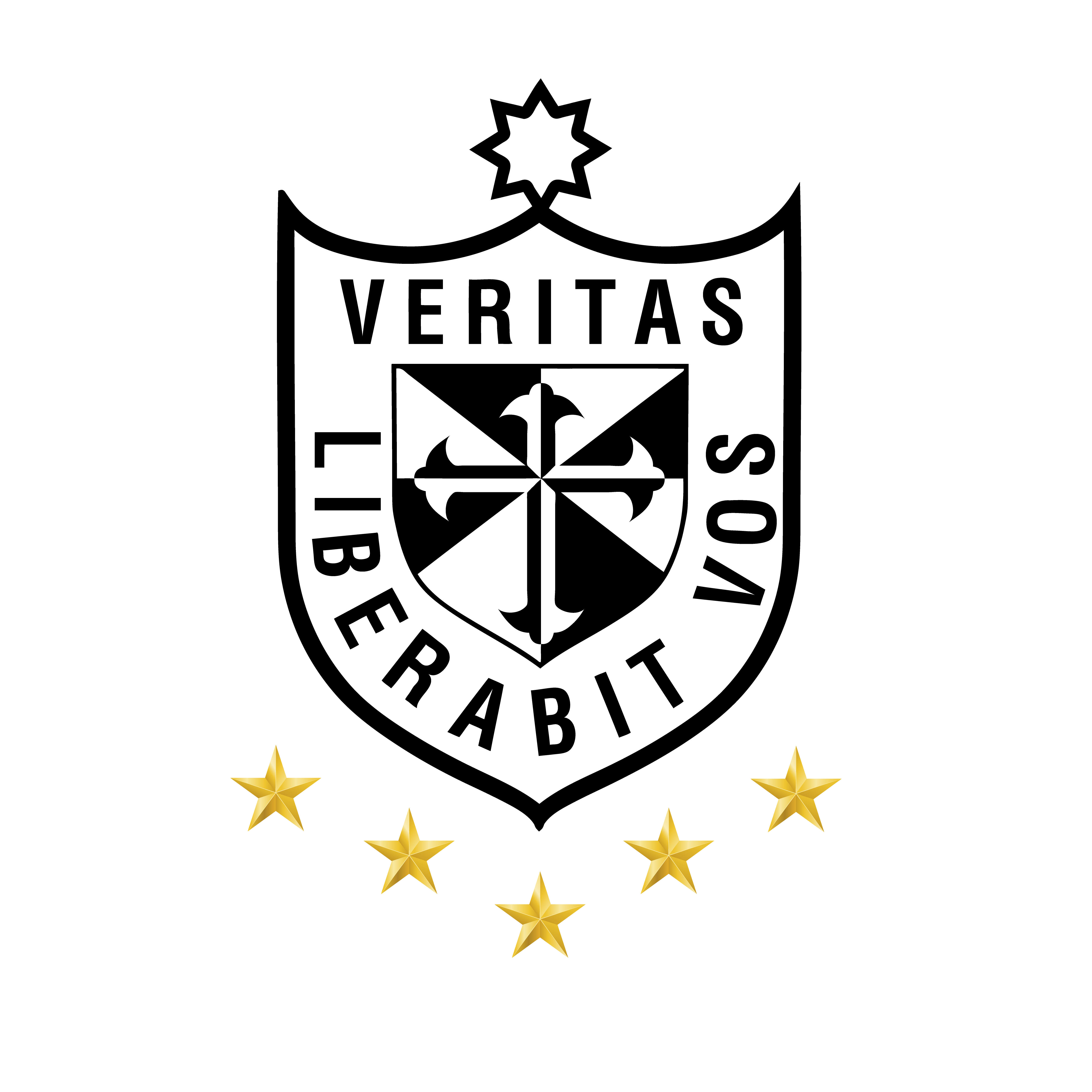 Escudo Tormenta Rosa